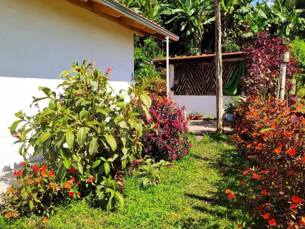 Holiday home Natan