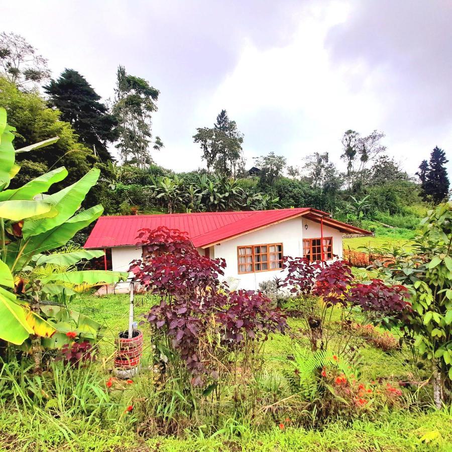 Holiday home Natan Quito
